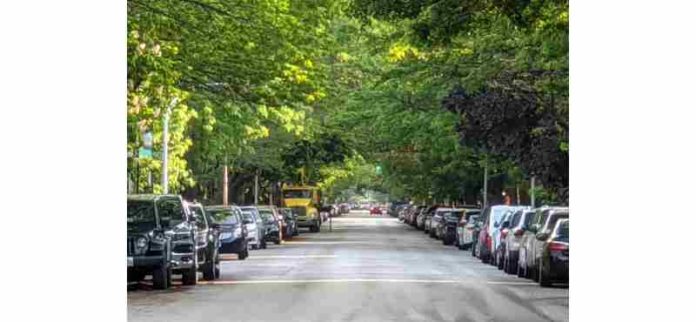 os-bairros-mais-arborizados-em-sao-jose-dos-campos