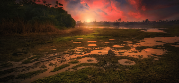 Pantanal: cenário de novela e safári brasileiro